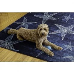 Betta Blue and Light Blue 7 ft. W x 9 ft. L Washable Polyester Indoor/Outdoor Area Rug by Linon Home Decor -Linon Home Decor Sales blue light blue linon home decor outdoor rugs thdr04010 1f 1000