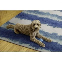 Alamos Ivory and Blue 7 ft. x 9 ft. Washable Polyester Indoor/Outdoor Area Rug by Linon Home Decor -Linon Home Decor Sales ivory blue linon home decor outdoor rugs thdr04098 1f 1000