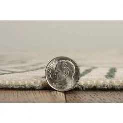 Larig Ivory and Green 3 ft. W x 5 ft. L Washable Polyester Indoor/Outdoor Area Rug by Linon Home Decor -Linon Home Decor Sales ivory green linon home decor outdoor rugs thdr04048 4f 1000