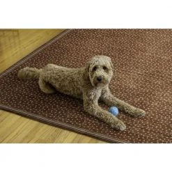 Edwin Orange and Ivory 5 ft. x 7 ft. Washable Coastal Polyester Indoor/Outdoor Area Rug by Linon Home Decor -Linon Home Decor Sales orange ivory linon home decor area rugs thdr04113 fa 1000